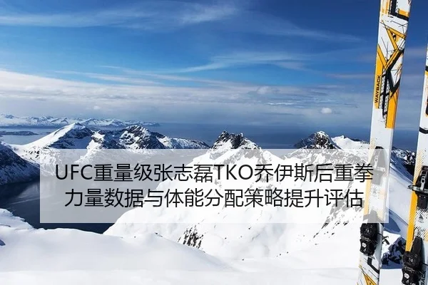zhong-liang-ji-zhang-zhi-lei-qiao-yi-si-hou-zhong-quan-li-liang-shu-ju-yu-ti-neng-fen-pei-ce-lve-ti-sheng-ping-gu-3-820.jpg