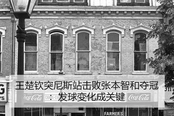 wang-chu-qin-tu-ni-si-zhan-ji-bai-zhang-ben-zhi-he-duo-guan-fa-qiu-bian-hua-cheng-guan-jian-2-497.jpg